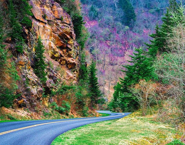 Inside Haywood episode 11: Calling all Blue Ridge Parkway fans, plus the outlook for retail and tourism